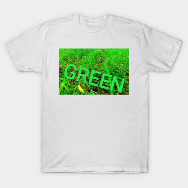 green T-Shirt by sanjay mochi